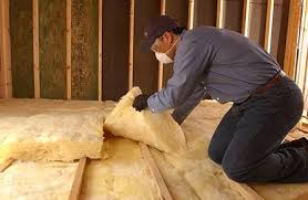 Best Eco-Friendly Insulation Solutions  in Madison Lake, MN