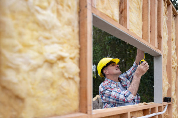 Best Insulation for New Construction  in Madison Lake, MN